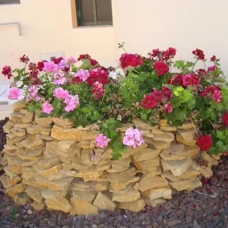 Castillo Playa Üdülőpark Caleta De Fuste