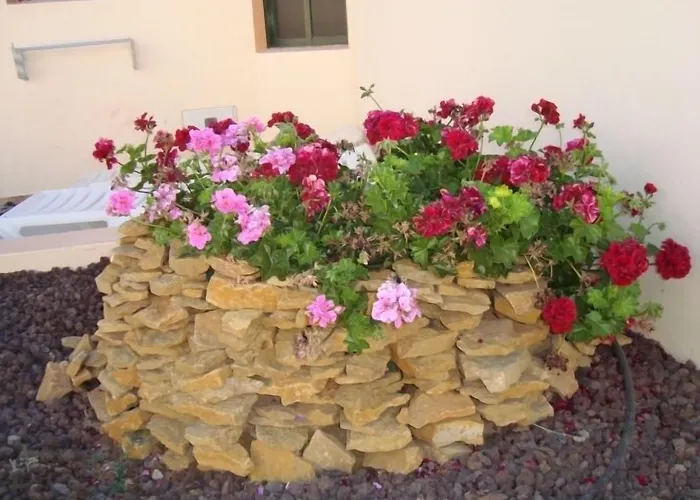 卡斯蒂略海滩酒店 假日公园 科斯塔卡莱塔